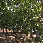 Glykeria διώροφη με δυο υπνοδωμάτια με θέα Tatil Evi *