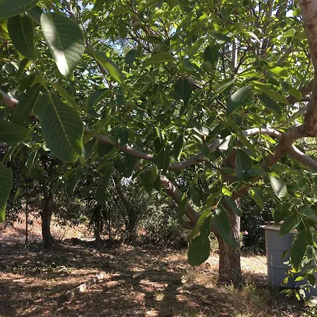 Glykeria διώροφη με δυο υπνοδωμάτια με θέα Casa vacanze *