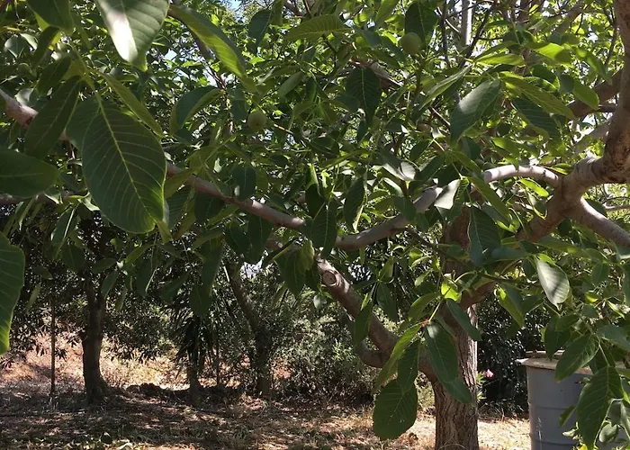 Villa Glykeria Διώροφη Κατοικία Με Δυο Υπνοδωμάτια Με Θέα בית נופש *